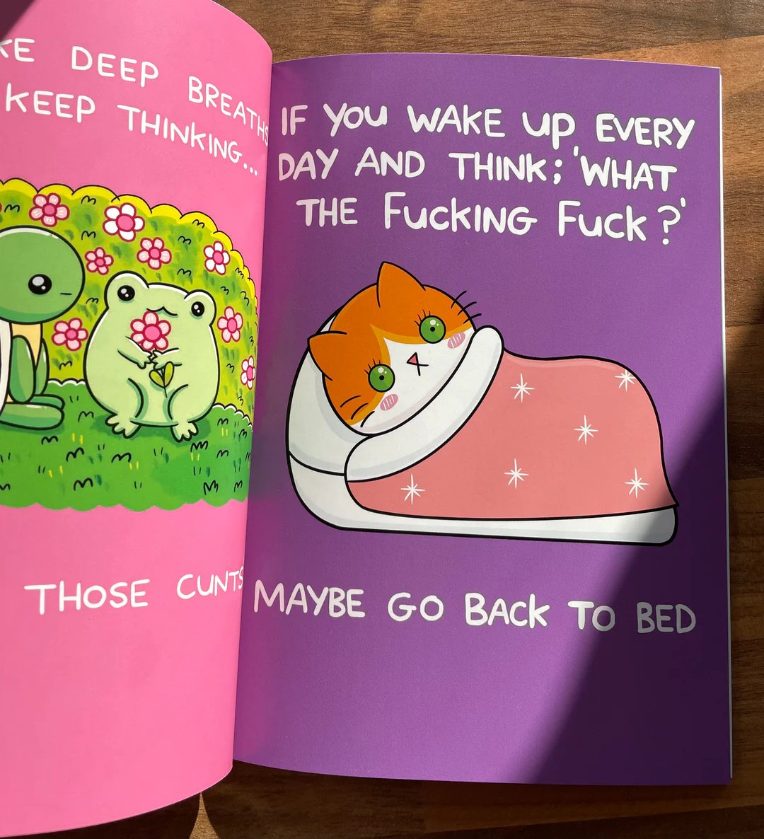 📖💕 ‘How To Survive The Bullsh!t’ Book (📚HARDCOVER)